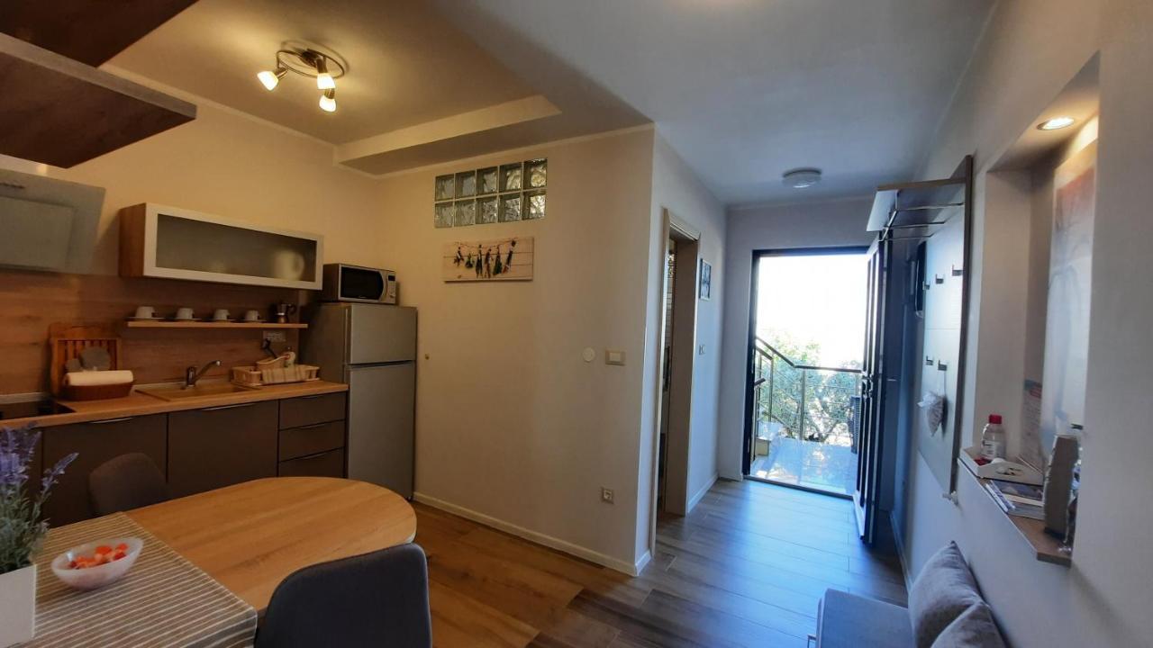 Apartments Alea ロヴィニ エクステリア 写真